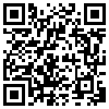 QR Code Handyversion