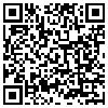 QR Code Handyversion