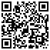 QR Code Handyversion