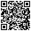 QR Code Handyversion