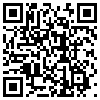 QR Code Handyversion