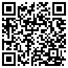 QR Code Handyversion