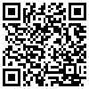 QR Code Handyversion