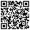 QR Code Handyversion