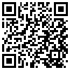 QR Code Handyversion