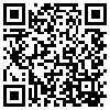 QR Code Handyversion