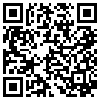 QR Code Handyversion