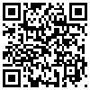 QR Code Handyversion