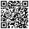 QR Code Handyversion