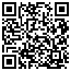 QR Code Handyversion