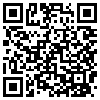 QR Code Handyversion