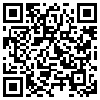 QR Code Handyversion