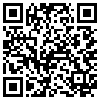 QR Code Handyversion