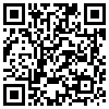 QR Code Handyversion