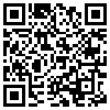 QR Code Handyversion