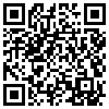 QR Code Handyversion