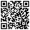 QR Code Handyversion