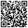 QR Code Handyversion