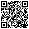 QR Code Handyversion