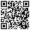 QR Code Handyversion