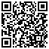 QR Code Handyversion