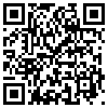 QR Code Handyversion