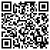 QR Code Handyversion