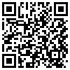 QR Code Handyversion