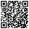 QR Code Handyversion