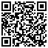 QR Code Handyversion