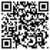 QR Code Handyversion