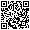 QR Code Handyversion