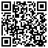 QR Code Handyversion