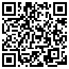 QR Code Handyversion