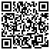 QR Code Handyversion