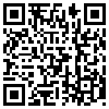 QR Code Handyversion