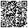 QR Code Handyversion