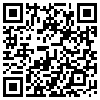 QR Code Handyversion