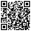 QR Code Handyversion