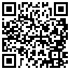 QR Code Handyversion