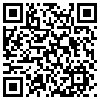 QR Code Handyversion