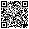 QR Code Handyversion