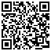 QR Code Handyversion