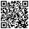 QR Code Handyversion