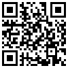 QR Code Handyversion