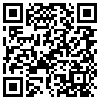 QR Code Handyversion