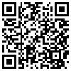 QR Code Handyversion