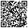 QR Code Handyversion