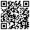 QR Code Handyversion