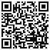 QR Code Handyversion